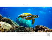 "Guardian Of The Reef" May