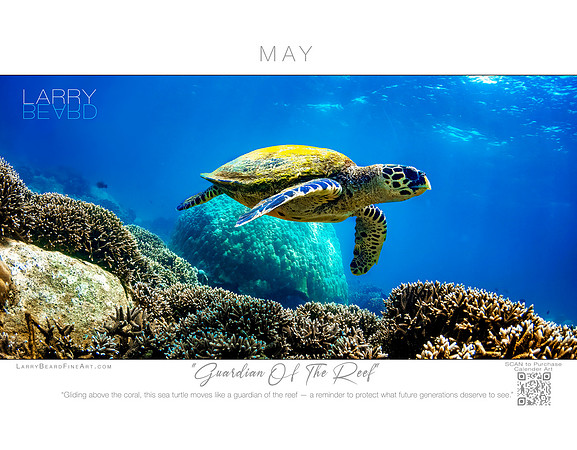 "Guardian Of The Reef" May
