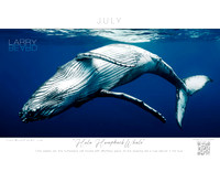 "Hula Humpback Whale" July