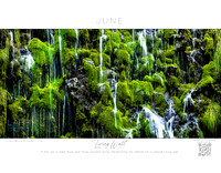 "Living Wall" June