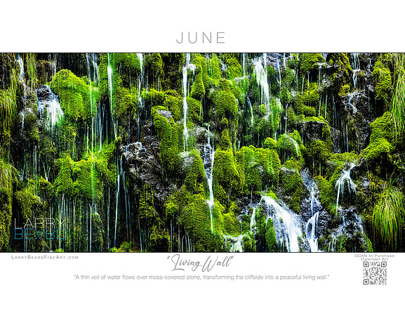 "Living Wall" June