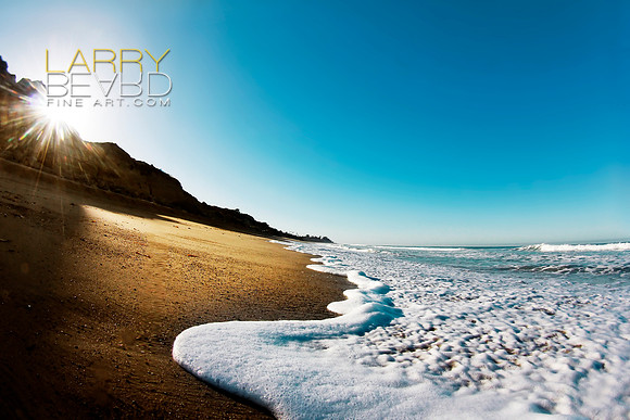 Dawn Foam