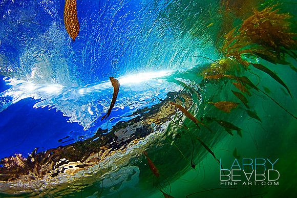 Under Water Paradise