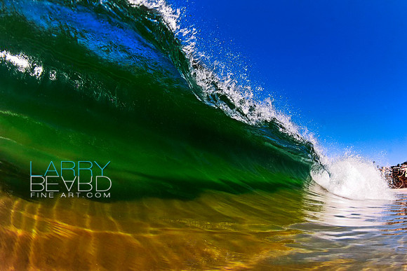 Laguna Shallows