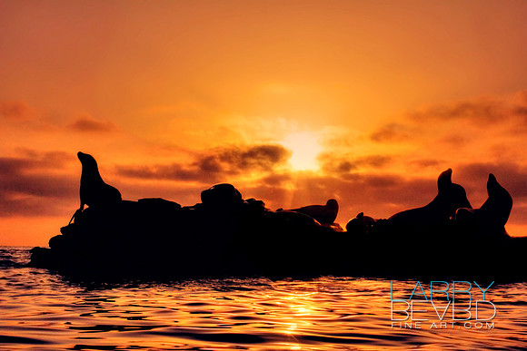 Seal Rock Sunset